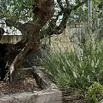 El Olivo Apartmán Frias