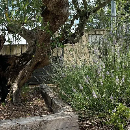 El Olivo Apartment Frias